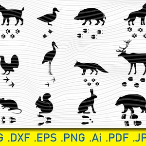 24 animaux sauvages, svg de traces d'animaux, SVG d'animaux, ensemble de traces d'animaux, étapes, sentiers, AI, Eps, Pdf, patte, trace, piste, signe, empreinte de pas, clipart