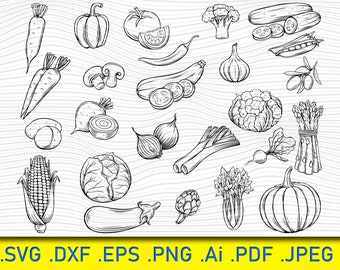 Vegetables icons, Hand drawn Fruits Vegetables svg Bundle,Food svg,Fruits Vegetables clipart vector svg png dxf eps stencil for cricut, svg