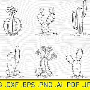 以下が含まれることがあります： さまざまな種類のサボテンの白黒線画6点セット。サボテンはシンプルでスタイリッシュな方法で描かれています。