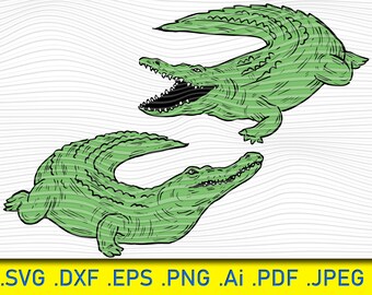 Alligator Cartoon SVG PNG Cute Crocodile Sticker Clipart Illustration Drawing Digital File Eps AI pdf T-Shirt Printable