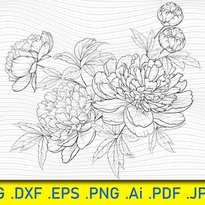 Peony Flower SVG: Spring Bouquet Contour, Floral Clipart (Digital Download)