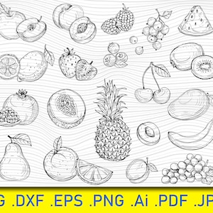 22 frutas: fresa, melón, melocotón, mango. Frutas dibujadas a mano en SVG y PNG para imprimir. Frutas dibujadas a mano. Colección de frutas.