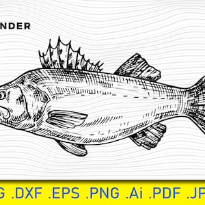 Walleye SVG File: Realistic Fish Clipart for Cricut, Silhouette (Digital Download)