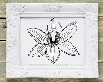 蓮の花の SVG バンドル: マンダラ、ゼンタングル、クリップアート