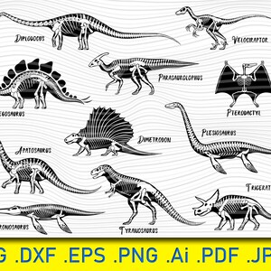 Dino Set SVG Dinosaurus Vector JPG eps PNG dxf Download Files Mesozoic era Circuit Cut Files