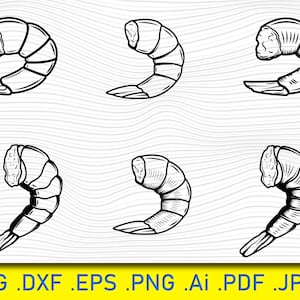 Könnte beinhalten: Sechs Schwarzweiß-Zeichnungen von Garnelen, jede in einer anderen Pose. Die Garnelen sind in verschiedene Richtungen gedreht und haben ihre Schwänze eingerollt.