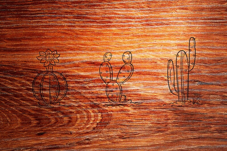 以下が含まれることがあります： 木の背景に、黒インクで描かれた3種類のサボテン。サボテンは、バレルサボテン、ウチワサボテン、背の高い細長いサボテンです。