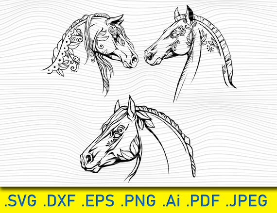 3 Portraits Horses, Horse SVG, Horse Head Svg, Beautiful Horse.