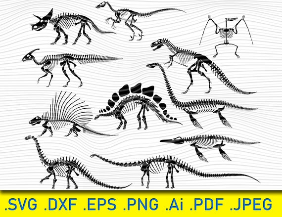 Dinosaur Skeleton Template