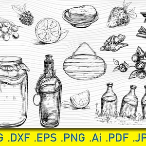 Kombucha Tea Party Clipart: Homemade Tea Collection Vector (Digital Download)