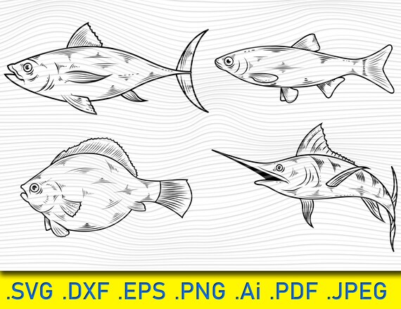 Download Fish Fish Svg Fishing Svg Cricut Clipart Silhouette Etsy