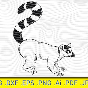 Lemur, Madagascar Animal, zoo, Lemur SVG, Lemur Clipart, Lemur Files for Cricut, Lemur Cut Files For Silhouette, Lemur Dxf, Lemur Png, Lemur