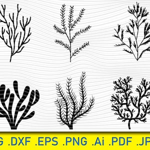 Coral Ocean Cuttable Design Eps File for Silhouette Cameo and Cricut ...