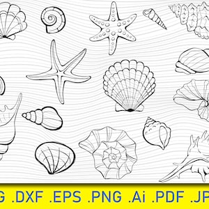 17 Seashells SVG, Cricut cut files, Layered files, Silhouette. DXF. PNG. eps, Digital download, Sea shells svg, Sea shells png, Beach svg