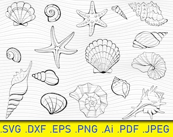 17 Seashells SVG, Cricut cut files, Layered files, Silhouette. DXF. PNG. eps, Digital download, Sea shells svg, Sea shells png, Beach svg