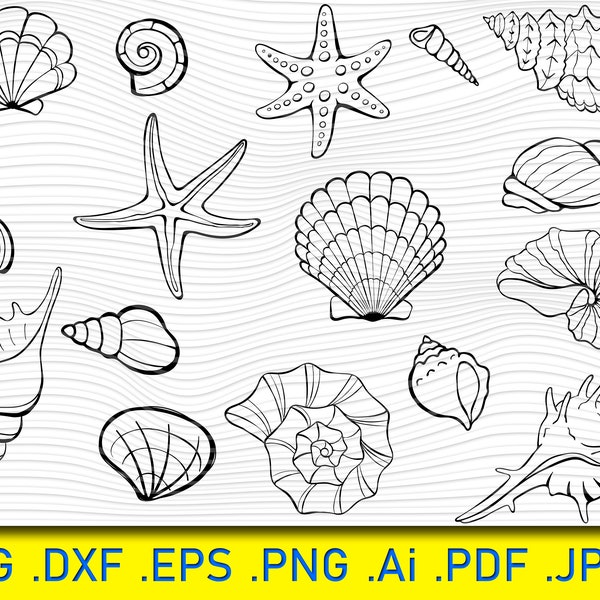 17 Seashells SVG, Cricut cut files, Layered files, Silhouette. DXF. PNG. eps, Digital download, Sea shells svg, Sea shells png, Beach svg