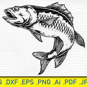 Pesca SVG, pescado svg, pescador svg, pesca bajo svg, clipart de pesca, polo de pesca svg, anzuelo de pesca svg, silueta de pesca, bajo svg