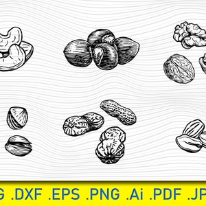 Coleção de elementos de nozes orgânicas naturais, pacote svg de nozes, svg de quebra-nozes, vetor de nozes, silhueta de nozes, arquivo de vinil de nozes, arquivos svg de nozes