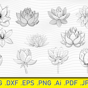 11 lotussvg, lotusbloem svg, lotus-mandala svg, zentangle lotus svg, lotus png, lotus digitaal, lotusbloem mandala svg, lotus clipart