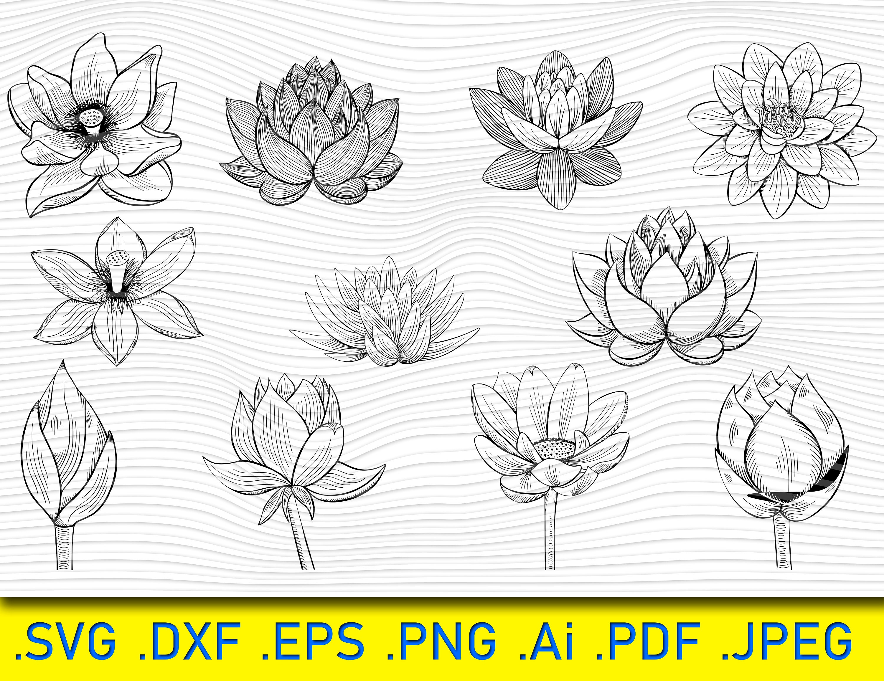 11 Lotus Svg, Lotus Flower Svg, Lotus Mandala Svg, Zentangle