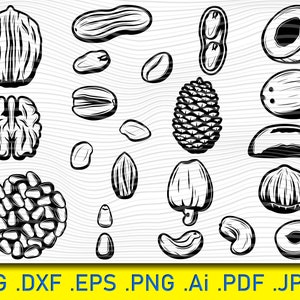 Coleção de 22 elementos de nozes orgânicas naturais, pacote de nozes svg, quebra-nozes svg, vetor de nozes, silhueta de nozes, arquivo de vinil de nozes, arquivos svg de nozes
