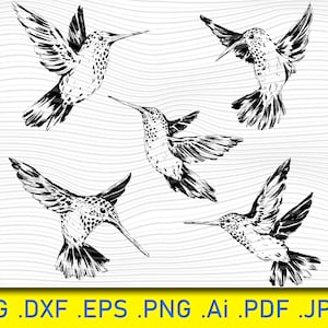 Hummingbird svg png, Bird SVG PNG, Hummingbirds Svg, Humming Bird Cut File For Silhouette, Cricut Machines Svg, Jpg Png, Pdf,  Swallow Bird