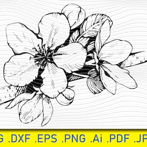 Fleur de pommier SVG pomme, fichier coupé impression sticker découpé, fleurs de Sakura Svg, clipart fleurs de cerisier, fleurs de printemps pour cricut, arbre en fleurs