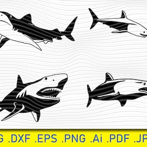 Shark svg bundle, Shark Fish svg, Shark Design svg, animal svg, baby shark svg, requin marteau svg, grand requin blanc svg, png, fichiers coupés