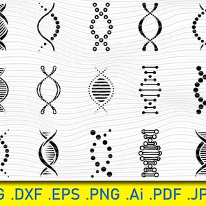 ADN SVG Bundle : chromosomes, gènes et molécules coupés fichiers