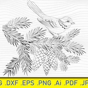 Bird on a pine tree with cones, Bird, Pine, Fir with pinecone, Forest Woodland, Pinecone Seeds, Pine Cone Leaves Nature, Winter PineCone Svg