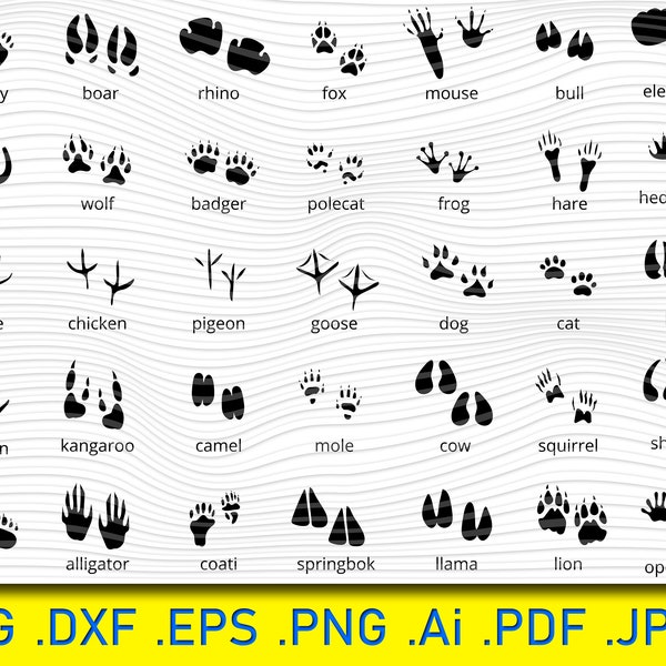 Animal Tracks svg, Animal SVG, Animal Tracks Set , 35 animaux différents, svg, eps, dxf, fichier png , INSTANT DOWNLOAD,, scrapbooking , timbre.
