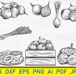 Onion SVG, Onion Clipart, Onion Files for Cricut, Onion vector, food svg, vegetable svg, healthy svg, vegan svg, vegetarian svg, Clip Art