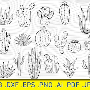 18 cactus svg, suculentas svg, archivo de corte de cactus, archivo de corte de suculentas, plantas svg, cactus cricut, cactus, plantas de interior, flores, suculentas, macetas