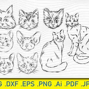 Cute Cats SVG bundle, Funny cat svg, Stylized cat Svg, Kittens Svg, Cat faces Svg, Cat clipart, Meow Svg, Portrait cats Png, Eps, Png, Dxf