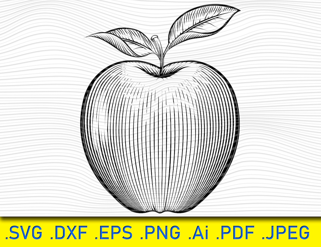 Apple SVG, Fruit SVG, Apple Cut File, School SVG, Apple Shape Vector ...