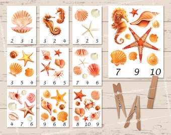Sea Shells Counting Cards • Clip Cards • Montessori Printables • Educational Printable