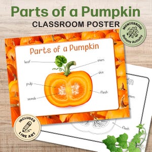 May include: A Parts of a Pumpkin classroom poster featuring a cross-section illustration of a pumpkin with labels for leaf, stem, skin, pulp, seeds, and flesh. The poster includes a Montessori Botany Activity badge and an Includes Line Art badge.