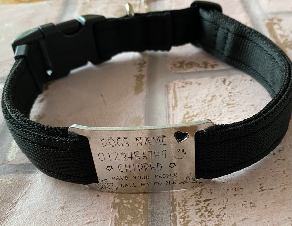 Cool Dog Tag For Collar at Mildred Rohe blog