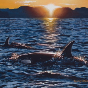 Killer Whale Print, Wildlife Wall Art, Animal Artwork, Beach House Decor, Sea Creatures, Orca, Whale Watching