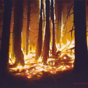 Può includere: Dipinto originale raffigurante una scena di foresta con alti e scuri tronchi d'albero. Il suolo della foresta e gli spazi tra gli alberi sono illuminati da una calda luce dorata, in contrasto con i tronchi scuri. La firma dell'artista è visibile.