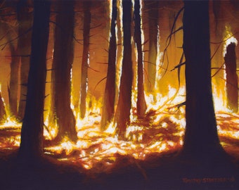 Puede incluir: Pintura original que representa una escena de bosque con altos y oscuros troncos de árboles. El suelo del bosque y los espacios entre los árboles están iluminados con una cálida luz dorada, contrastando con los troncos oscuros. La firma del artista es visible.