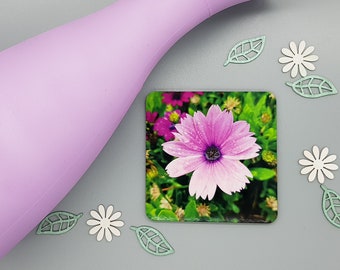 Pink African Daisy Coaster – Floral Photography, Housewarming Gift SALE