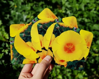 Yellow Poppy Flower Coaster Set – California Poppies Drink Coasters SALE Mother's Day