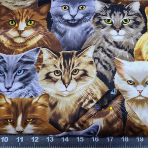 Timeless Treasures Kitty Cat All Over Fabric Quilting Masks Crafts Sewing