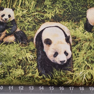 May include: A close-up of a fabric featuring a pattern of black and white pandas in a green bamboo forest. The pandas are in various poses, some sitting, some standing, and some walking. The fabric is ideal for crafting projects, such as making bags, cushions, or quilts.