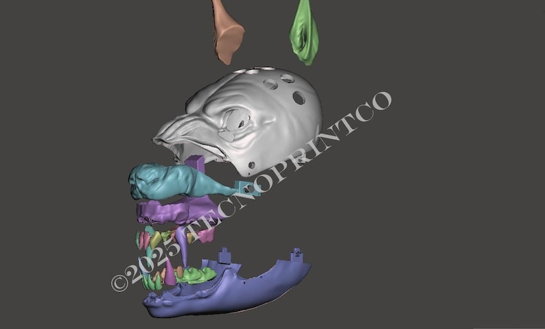 May include: A 3D digital model of a creature head assembly featuring a grey skull with circular holes, a light blue snout, a purple jaw structure, green teeth, and a dark blue lower jaw. Two detached ear-like pieces in tan and green are above.