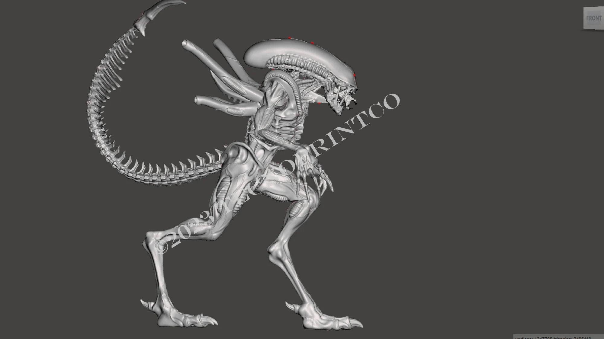 3Dプリント用エイリアンゼノモーフ ライフサイズ 1.1 - Etsy 日本