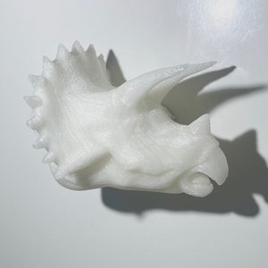May include: A white, 3D-printed Triceratops skull replica. The model features the distinctive frill, horns, and textured surface of the prehistoric creature. The skull is set against a white background, casting a shadow.