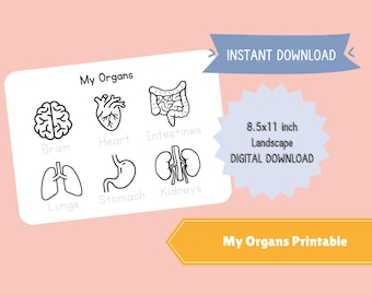 Foglio da colorare sugli organi umani: foglio di lavoro per la scuola materna/asilo (download digitale)