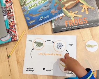 Unità stampabile su rettili e anfibi: attività di homeschooling (PDF)